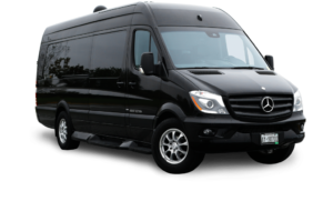 Trinity Transportation Service Inc.
